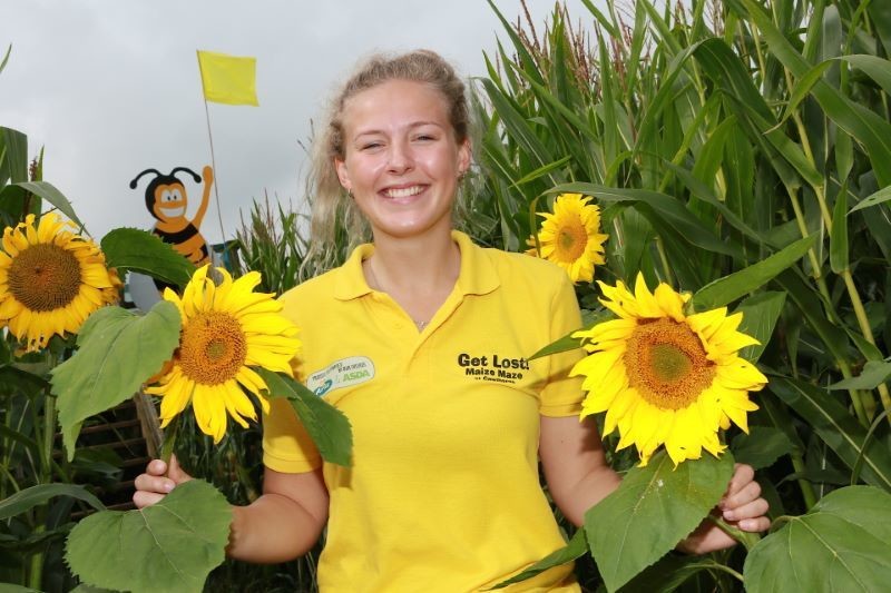 Main image for Cawthorne maze reaches new heights