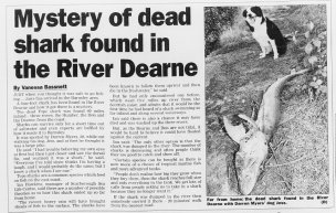 Main image for FROM THE ARCHIVES: Mystery of the dead shark in the River Dearne