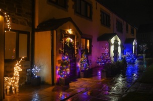 Award-winning community garden transformed into winter wonderland Image