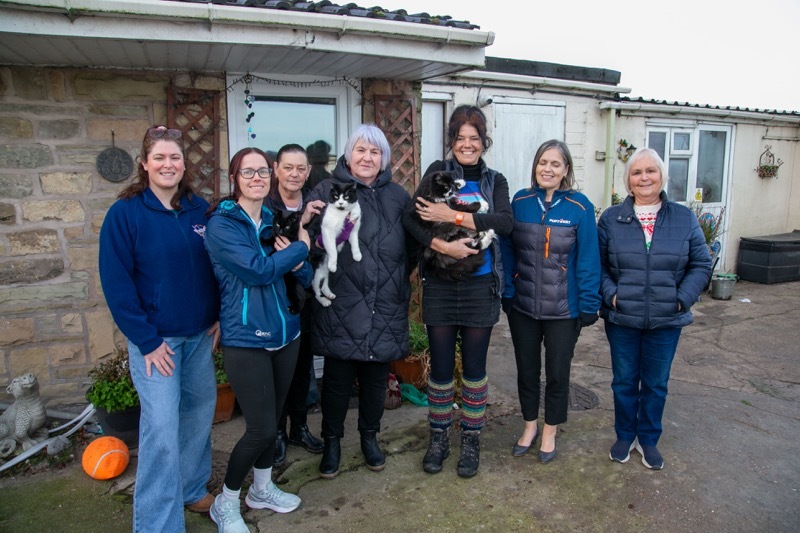 Noah’s Ark pet sanctuary in Shafton who look after rescued cats. faced a £35,000 vet bill owned by Samantha Archibald. Picture Shaun Colborn PD093721