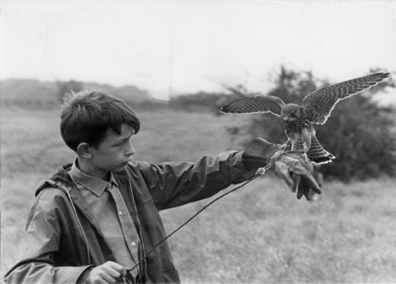 Main image for Group wants sculptor to create Kes statue