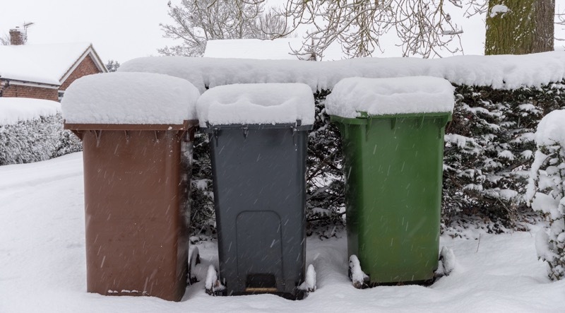 Main image for Cabinet members quizzed over bin collection chaos