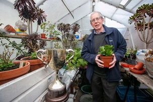 PLANT CLOSURE: Green -fingered Jeff Sharman with the Lord Fitzwilliam challenge cup originally presented in 1948, now redundant since the society has folded. Picture Shaun Colborn PD093866