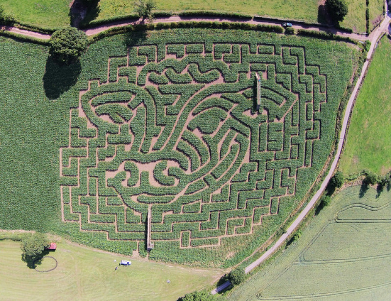 Main image for Maize maze opens for Cawthorne