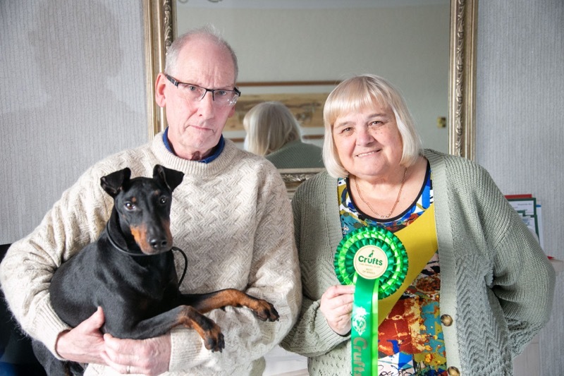 TOP DOG: Crufts Best of breed, Teo the Manchester terrier. Picture Shaun Colborn PD093957