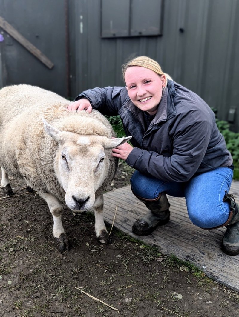 Trustee of Albert’s Horse Sanctuary Stacey Hepworth