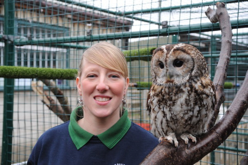College applies for zoo licence | Barnsley Chronicle
