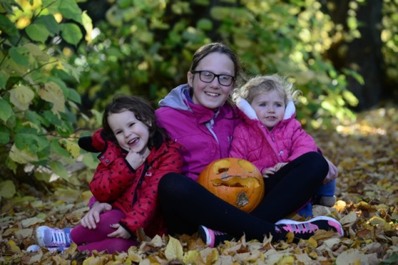 Thousands of pumpkins carved at Cannon Hall | Barnsley Chronicle